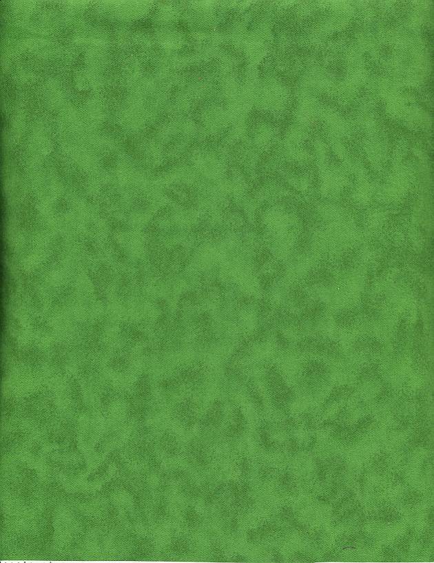 This soft green flannel has darker tones of green. Use this as an accent fabric in our quilt or wall hanging. We carry others in this line of flannels.