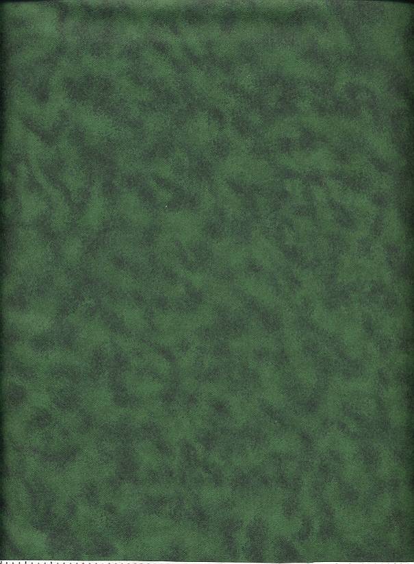 This soft green flannel has  tones of green. Use this as an accent fabric in our quilt or wall hanging. We carry others in this line of flannels.