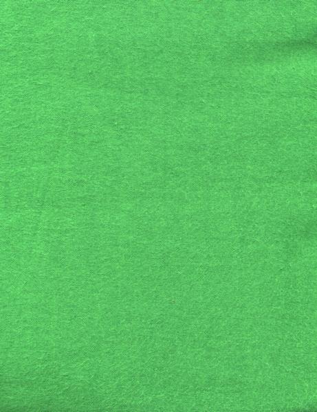 Kelly green super soft light weight flannel.